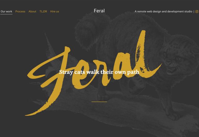 2019年5月份網站設計趨勢 網站設計